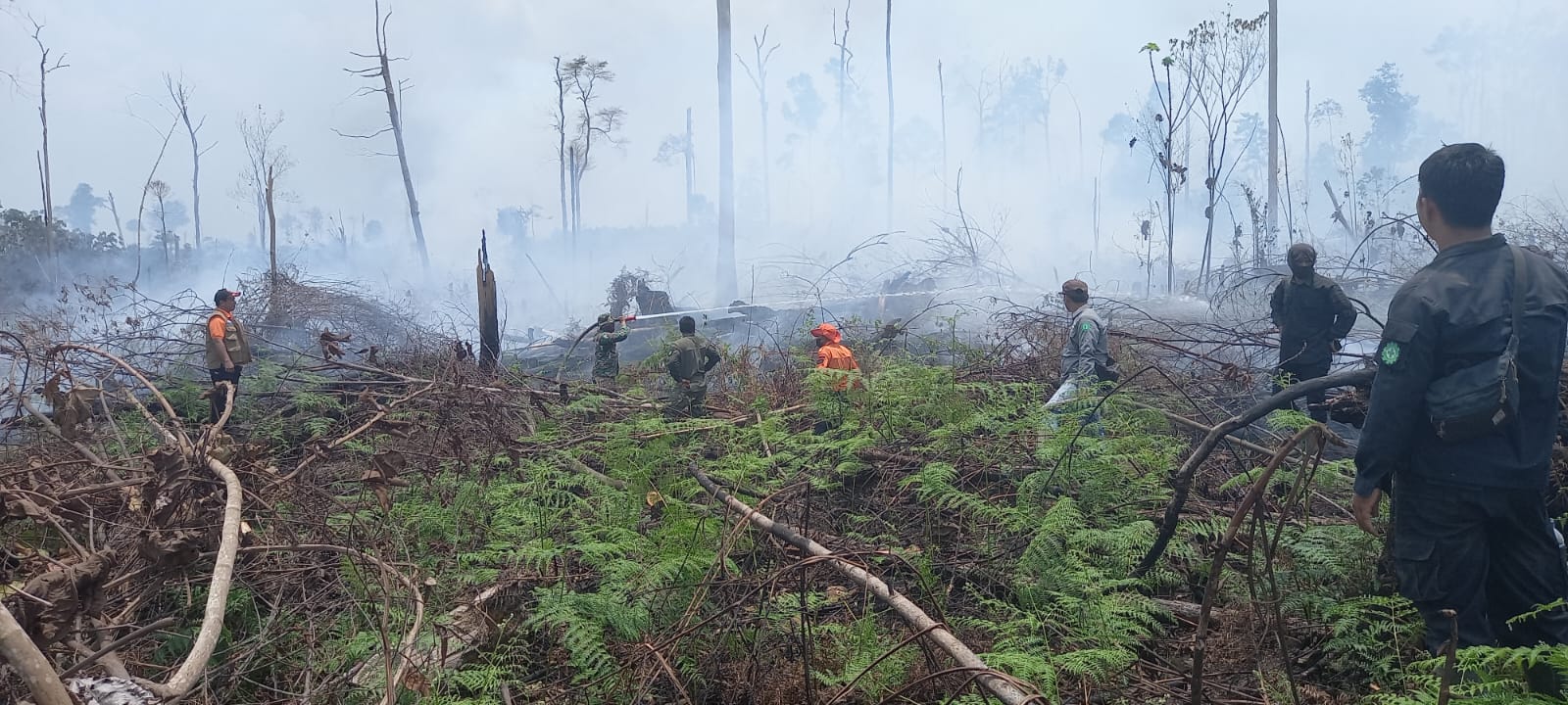 Lahan konsesi milik PT Alam Bukit Tigapuluh kembali terbakar
