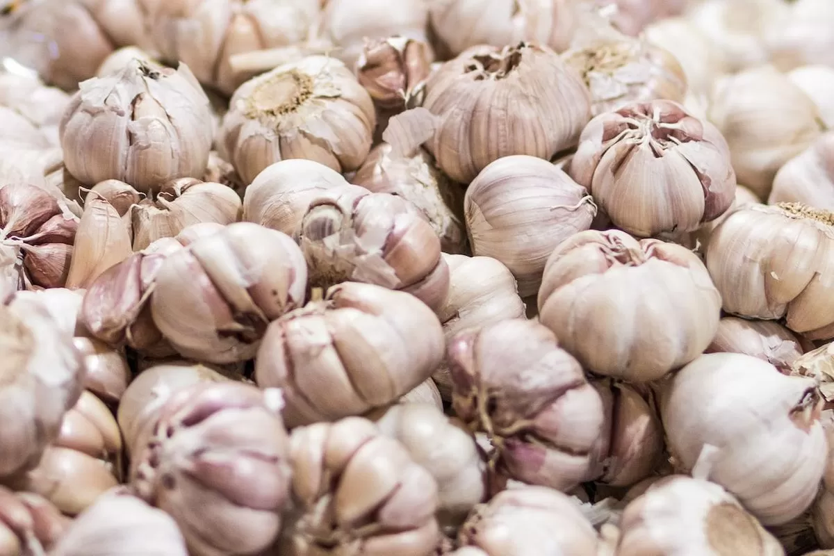 Tidak Hanya Digunakan Sebagai Penyedap Masakan, Ini 9 Manfaat Bawang Putih untuk Kesehatan Kulit dan Kecantikan